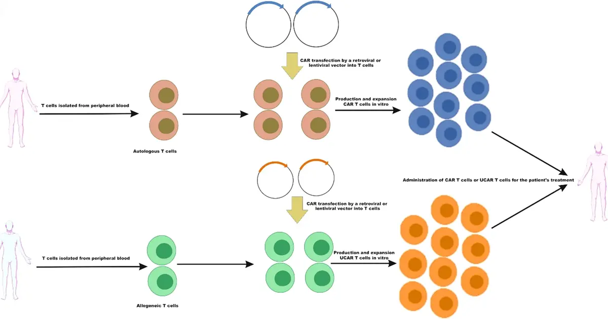 CAR T-Cell Therapy: A Comprehensive Academic Overview